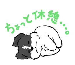 2437169