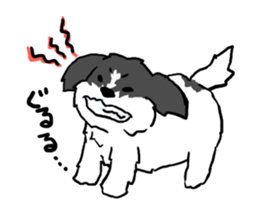 2437172
