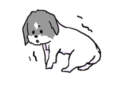 2437173