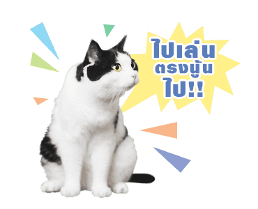 เค้าเรียกผมว่าแมว ดุ๊กดิ๊กร้องเมี๊ยว รูปที่ 2