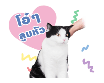 เค้าเรียกผมว่าแมว ดุ๊กดิ๊กร้องเมี๊ยว รูปที่ 3