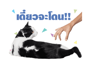 เค้าเรียกผมว่าแมว ดุ๊กดิ๊กร้องเมี๊ยว รูปที่ 8