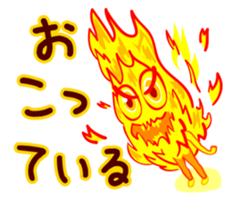 243768525