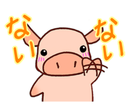 2437981