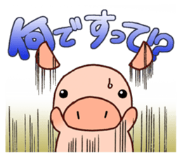 2437993