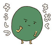 243804291