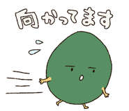 243804303