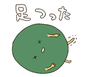 243804304