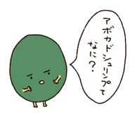 243804312