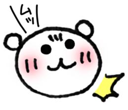 24382061