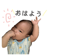 243834080