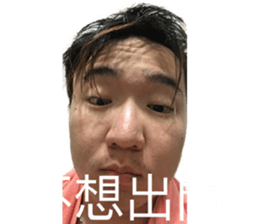 243883425