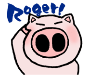 2438911