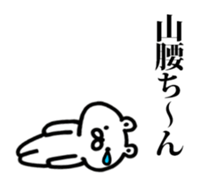 243916994