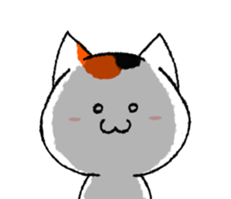 2439191