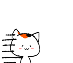 2439193