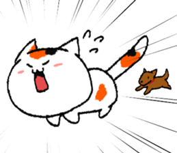 2439205