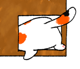 2439207