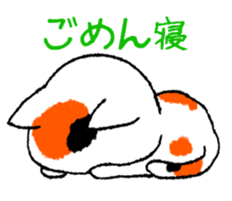 2439213