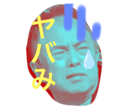 243974481