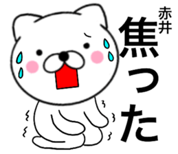 24399050