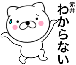 24399053