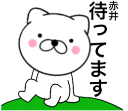 24399057