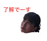 244007294