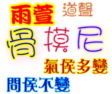 244021607