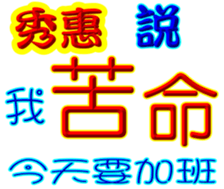 244035517
