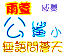 244050312