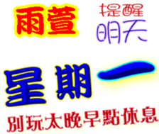 244050321