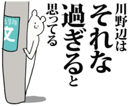 244051923