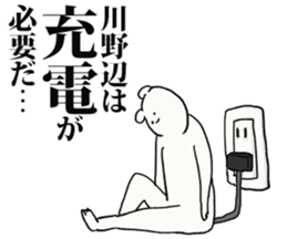 244051931