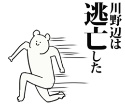 244051934