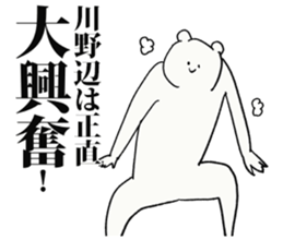 244051949