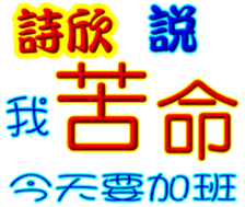 244079005
