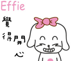 244079161