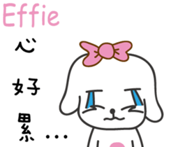 244079167