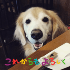 24408015