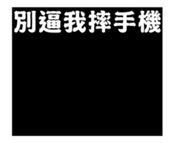 244081665