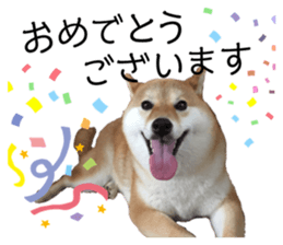 244135434