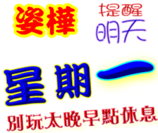 244151297