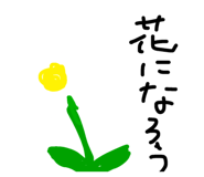 24419223