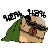 244283494