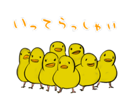 2443014
