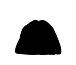 24432722