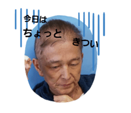 244350731