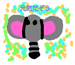 244381578