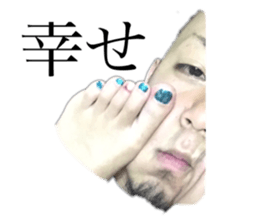 244381628